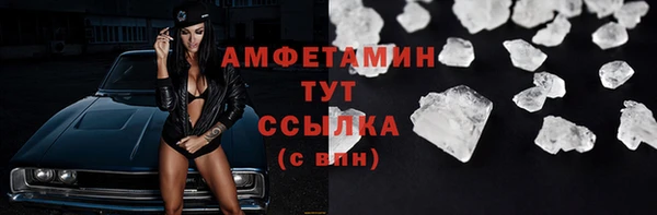 прущие грибы Абаза
