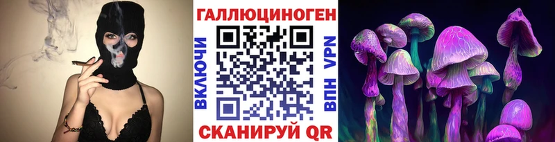 дарнет шоп  Мантурово  Псилоцибиновые грибы Cubensis 